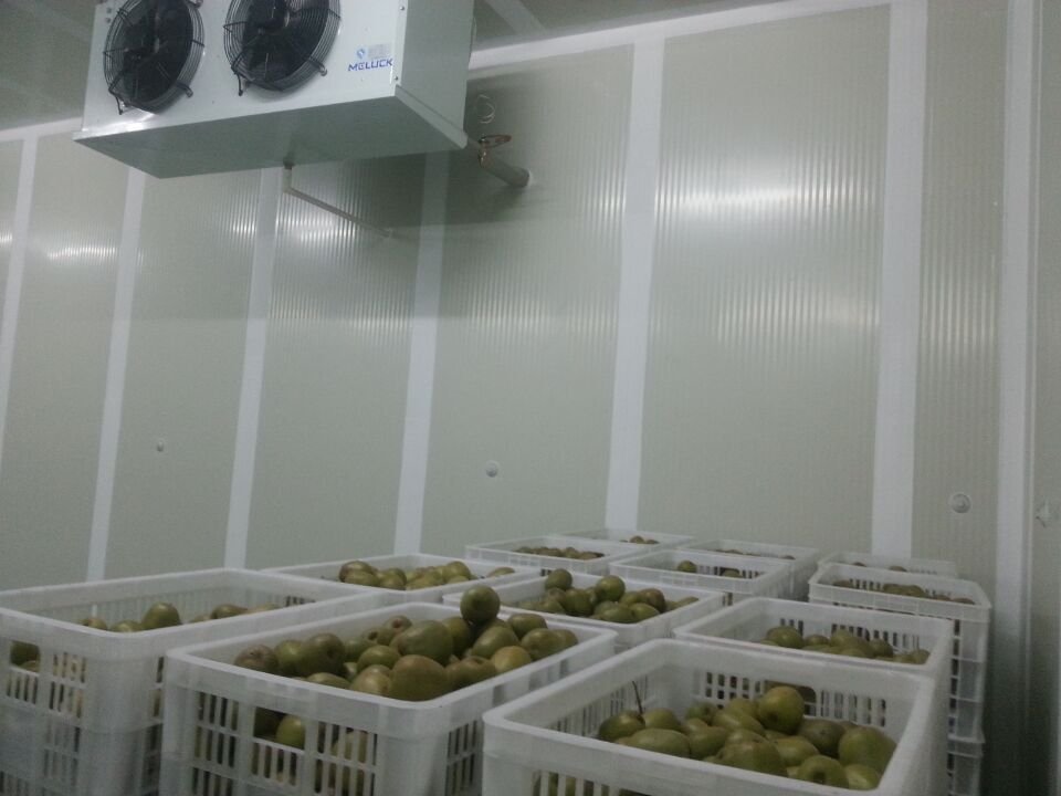 Cold Storage